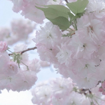 Furry绘画色彩技巧兽圈社群